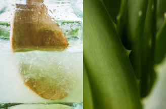 Šťava z Aloe vera každý deň? 5 dôvodov, prečo sa ju oplatí piť!